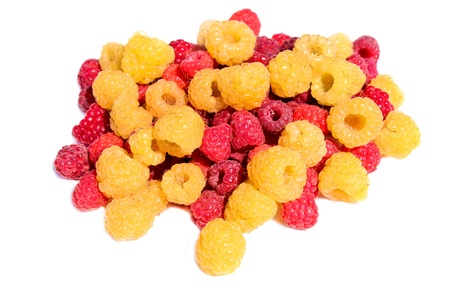 A handful of yellow and red raspberries in bulk isolated on a white backgroundの写真素材