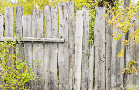 Close up of gray old wooden fence panelsの写真素材