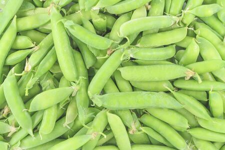 Pea pods in bulk as a backgroundの写真素材