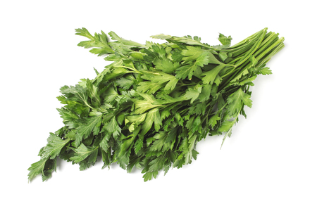 Fresh parsley bunch isolated on white backgroundの写真素材