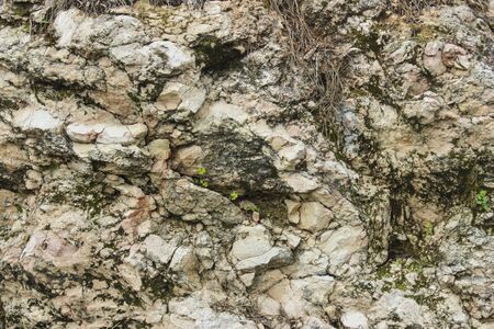 The structure of the old stone of the mountain wall with plants, moss and lichen on itの写真素材