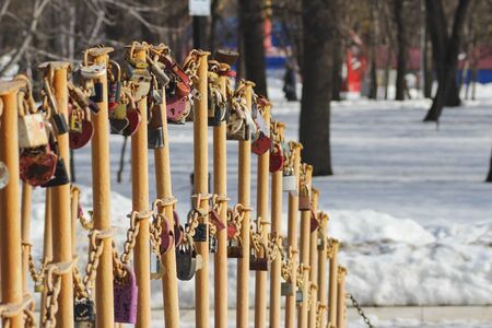 Wedding locks on the railing of the bridge in the park in winterの写真素材