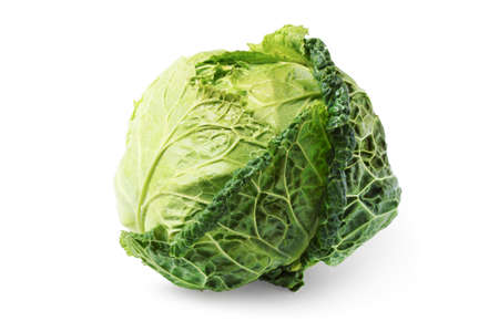 Savoy cabbage cabbage isolated on white backgroundの写真素材
