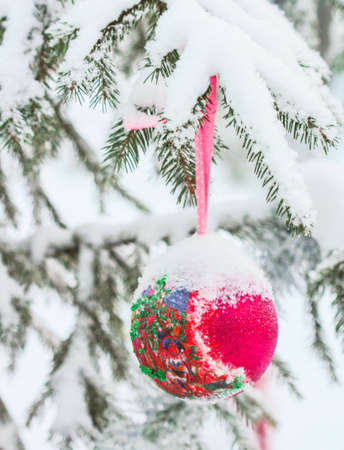 Glass Christmas ball on a spruce branch covered with snowの写真素材