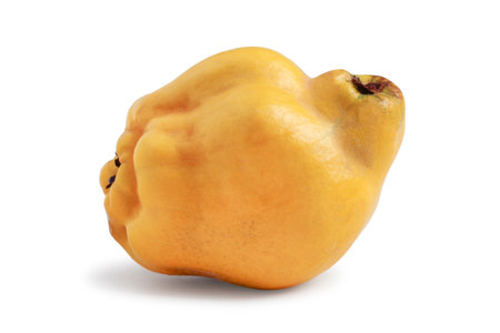 Ripe quince closeup isolated on white backgroundの写真素材