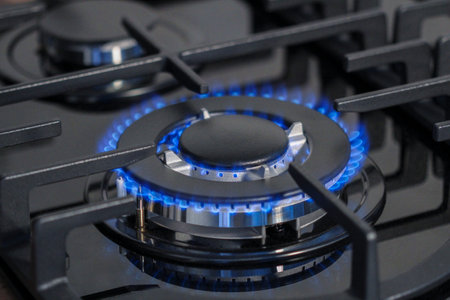 Large gas burner of kitchen hob with gas on