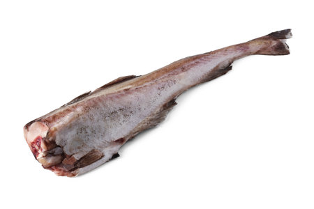 Frozen pollock carcass isolated on white backgroundの写真素材