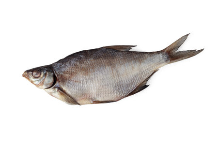 Dried salted fish isolated on white backgroundの写真素材