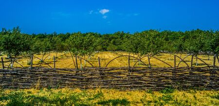 summer gardenの写真素材