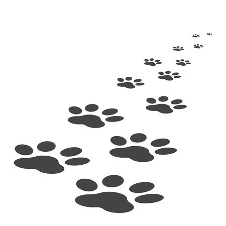 Paw print icon illustration isolated on white color.のイラスト素材