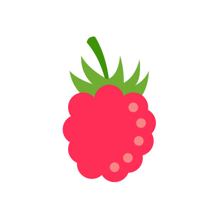 Raspberry fruit icon in flat style. Raspberries berry vector illustration on isolated background. Nature snack sign business concept.のイラスト素材