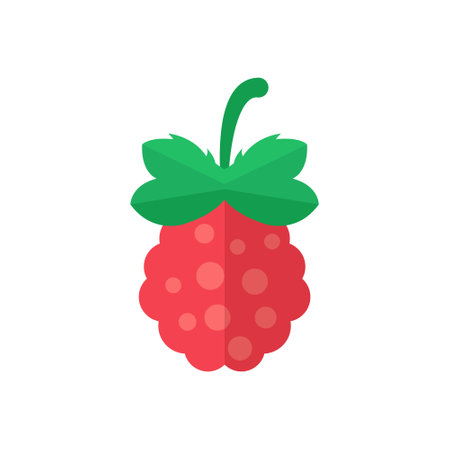 Raspberry fruit icon in flat style. Raspberries berry vector illustration on isolated background. Nature snack sign business concept.のイラスト素材