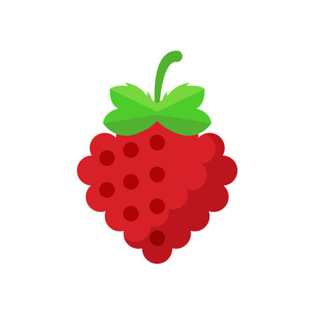 Raspberry fruit icon in flat style. Raspberries berry vector illustration on isolated background. Nature snack sign business concept.のイラスト素材