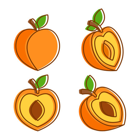 Peach fruit icon set collection in flat style. Apricot vector illustration on isolated background. Nectarine nature snack sign business concept.のイラスト素材