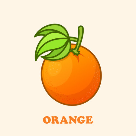 Orange fruit icon in cartoon comic style. Clementine vector illustration on isolated background. Nature snack sign business concept.のイラスト素材
