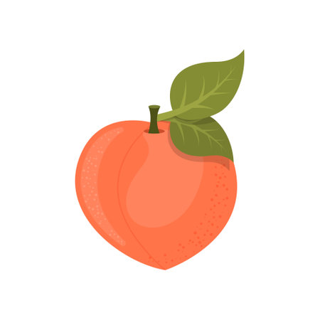 Peach fruit icon in flat style. Apricot vector illustration on isolated background. Nectarine nature snack sign business concept.のイラスト素材