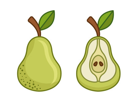 Pear icon in flat style. Fresh fruit vector illustration on isolated background. Fresh pear sign business concept.のイラスト素材