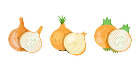 Onion icon set collection in flat style. Organic vegetable vector illustration on isolated background. Healthy food sign business concept.のイラスト素材