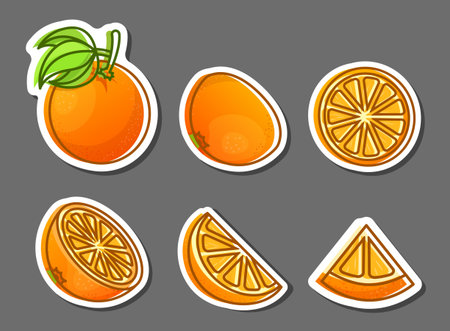Orange fruit sticker icon in cartoon comic style. Clementine vector illustration on isolated background. Nature snack sign business concept.のイラスト素材