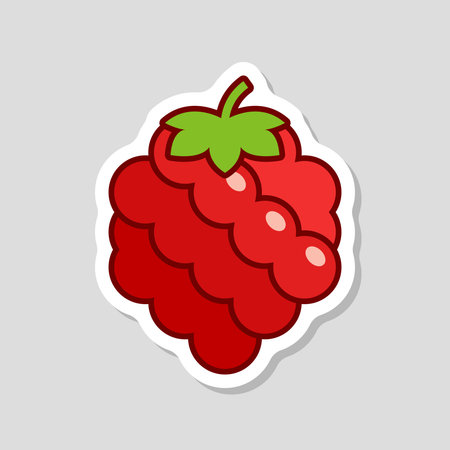 Raspberry fruit sticker icon in flat style. Raspberries berry vector illustration on isolated background. Nature snack sign business concept.のイラスト素材