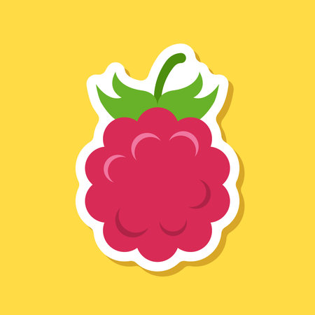 Raspberry fruit sticker icon in flat style. Raspberries berry vector illustration on isolated...