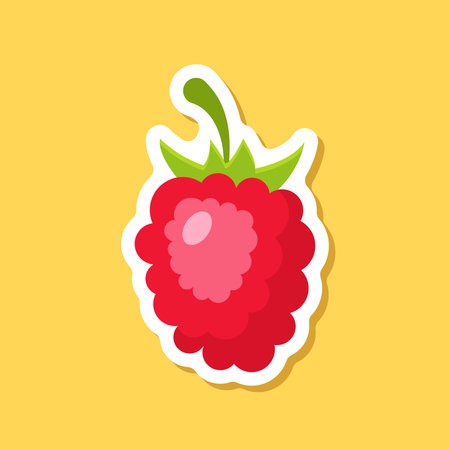 Raspberry fruit sticker icon in flat style. Raspberries berry vector illustration on isolated background. Nature snack sign business concept.のイラスト素材