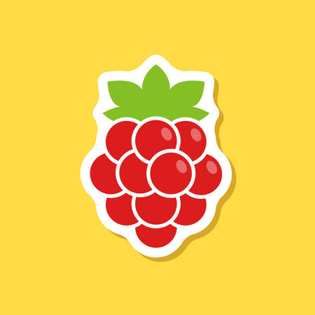 Raspberry fruit sticker icon in flat style. Raspberries berry vector illustration on isolated background. Nature snack sign business concept.のイラスト素材
