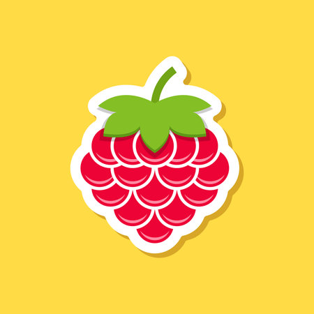 Raspberry fruit sticker icon in flat style. Raspberries berry vector illustration on isolated background. Nature snack sign business concept.のイラスト素材