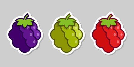 Grape, blueberry, raspberry sticker fruit icon set collection in flat style. Berry vector illustration on isolated background. Nature snack sign business concept.のイラスト素材