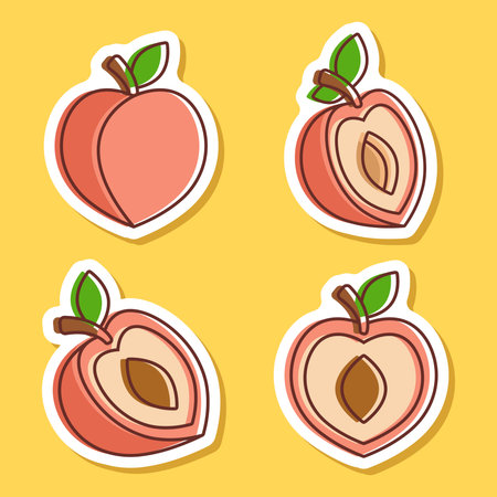 Peach fruit sticker icon set collection in flat style. Apricot vector illustration on isolated background. Nectarine nature snack sign business concept.のイラスト素材