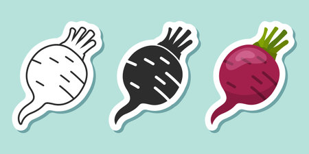 Beetroot vegetable with leaves sticker icon set collection in flat style. Beet plant vector illustration on isolated background. Healthy food sign business concept.のイラスト素材