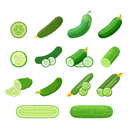 Cucumber vegetable icon set collection in flat style. Gherkin plant vector illustration on isolated background. Healthy food sign business concept.のイラスト素材