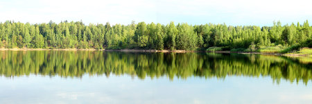 reflection