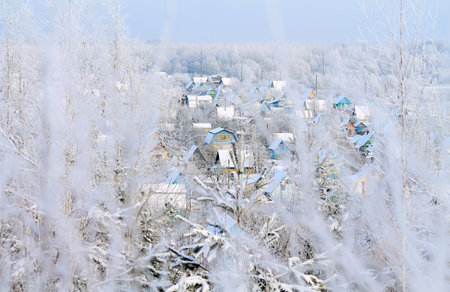 snow in the winter