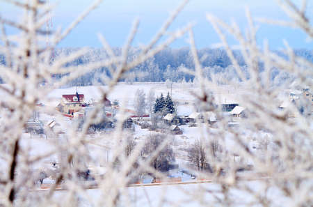 snow in the winterの写真素材