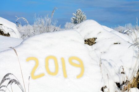snow in the winterの写真素材