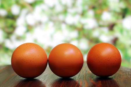 egg in the foregroundの写真素材