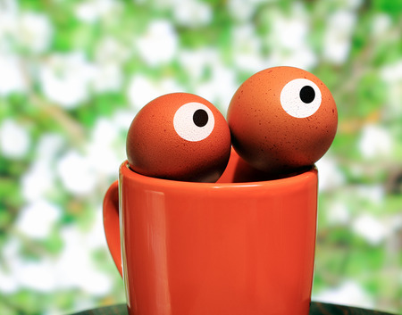 egg in the foregroundの写真素材