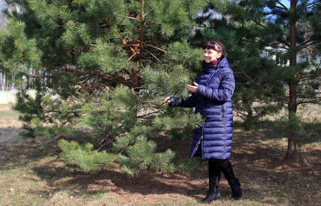 Woman portrait in the forestの写真素材