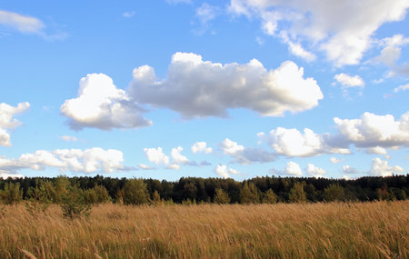 clouds over the field in summerの写真素材
