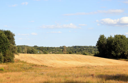field on a summer dayの写真素材