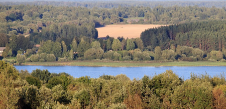 the forest beyond the lakeの写真素材