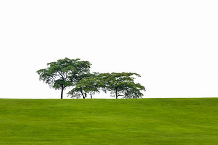 green hill trees white backgroundの写真素材