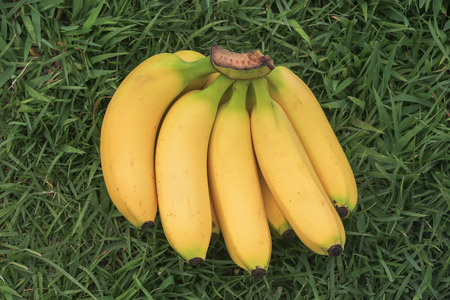 banana on green grassの写真素材