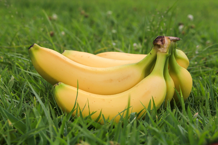 banana on green grassの写真素材
