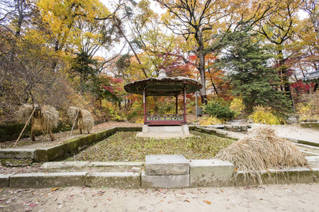 Autumn season in Garden of Changdeokgung Palace South Koreのeditorial素材