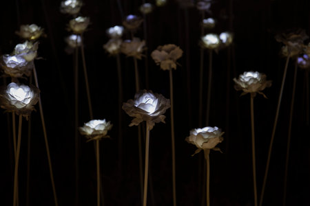 LED Flowerの写真素材