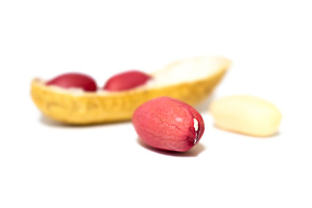 peanut close-up isolated on whiteの写真素材
