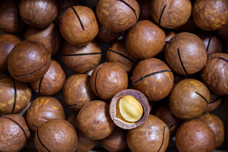 Background of macadamia nuts close-upの写真素材