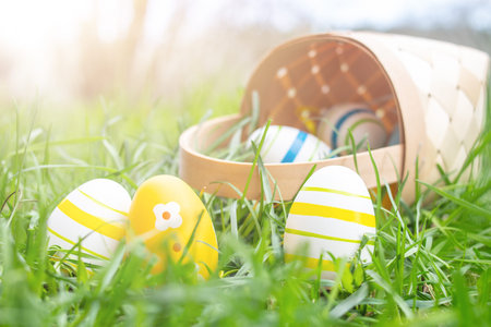 Easter eggs in basket on green grass. Happy Easter concept.
